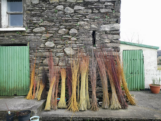 Cut willow resting against stone shed in 2022